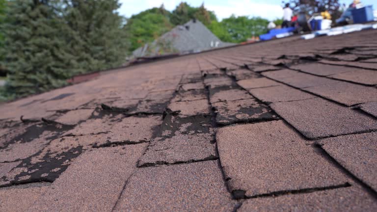 Best Skylight Installation and Repair  in Mobile, AL