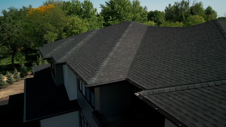 Best Gutter Installation and Repair  in Mobile, AL