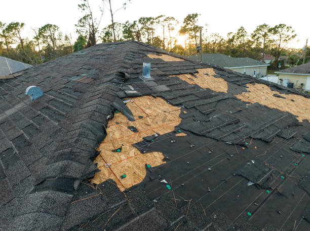 Roof Coating Services in Mobile, AL